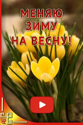 25 необычных картинок «С Первым днем весны!» – Блог Canva