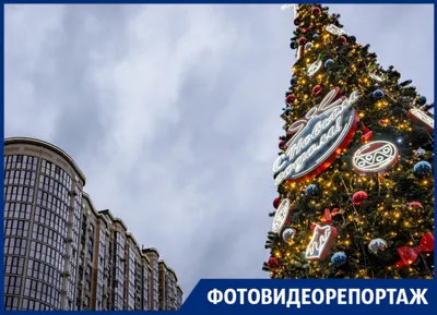 Новогодние открытки 2024 со стихами (красивые, трогательные, прикольные)  ❄🎄🎅 | Волшебный мир иллюстраций | Дзен