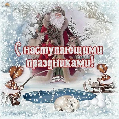 Смешные и прикольные картинки с наступающим Новым годом Собаки 2018. |  Christmas bulbs, Christmas ornaments, Christmas cards