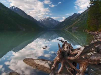 Живая природа (@livenature_ru) on Instagram: “Алтай, Россия #фото #природа # горы #воздух #красота #photo #nature #naturelove… | Красивые места, Природа,  Путешествия