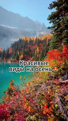 Природа в своей красе: Красивые картинки гор Шотландии | Горы шотландии  Фото №1027342 скачать