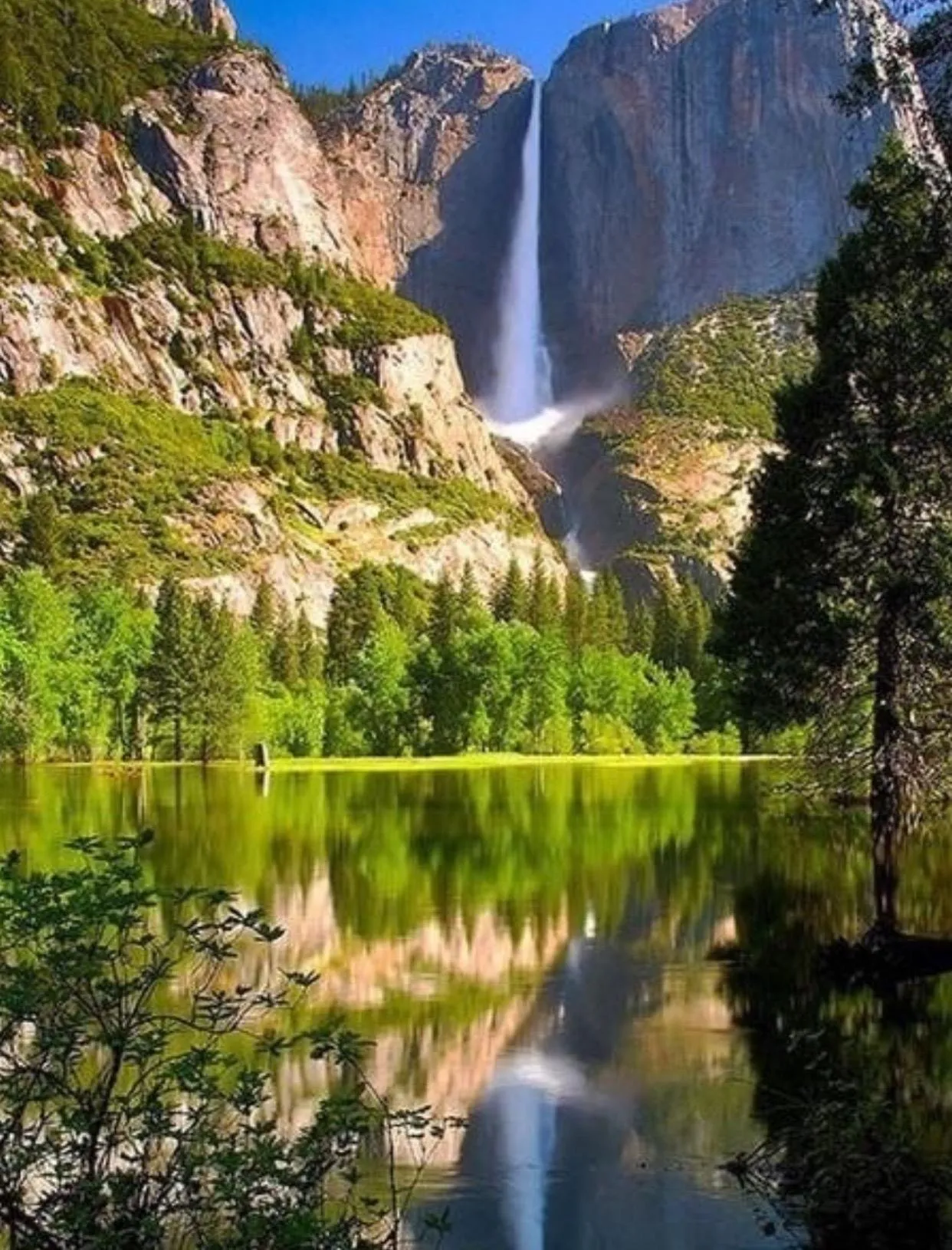 Покажи настоящую красоту. Yosemite National Park. Красивая природа. Красивые места. Самые красивые пейзажи.