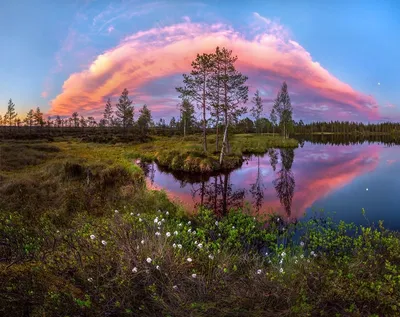 Природа России - красивые фото