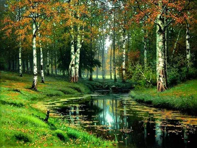 Красивая природа России | Birch tree painting, Natural scenery, Painting