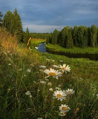 Топ самых красивых мест в России для незабываемых путешествий
