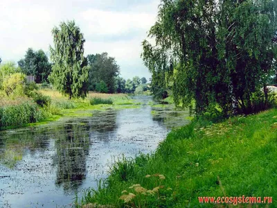 Как на море, только лучше: самые красивые озера России