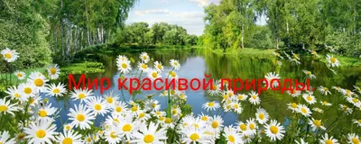 красивые картинки :: Природа (красивые фото природы: моря, озера, леса) /  картинки, гифки, прикольные комиксы, интересные статьи по теме.