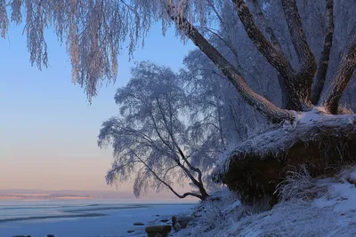 Советы по съемке природы | Фотографии природы | Canva