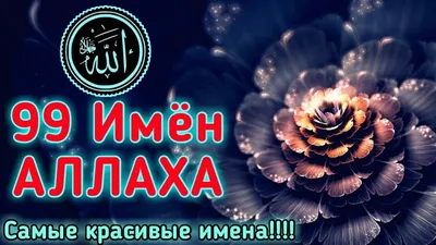 ✍️🌍🕋☪️☝️ Знамения Аллаха | Musulman | Дзен