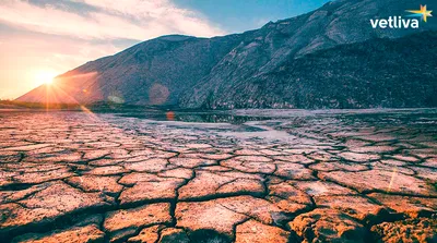 Где сделать хорошую фотографию: самые красивые места Беларуси