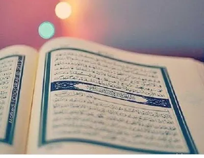Книга Коран на арабском языке с переводом Абу Адель HIKMA 180943027 купить  за 1 778 ₽ в интернет-магазине Wildberries