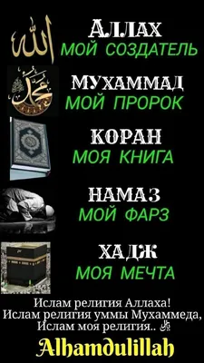 Коврик для намаза, намазлык для чтения . Намаз купить по цене 875 ₽ в  интернет-магазине KazanExpress