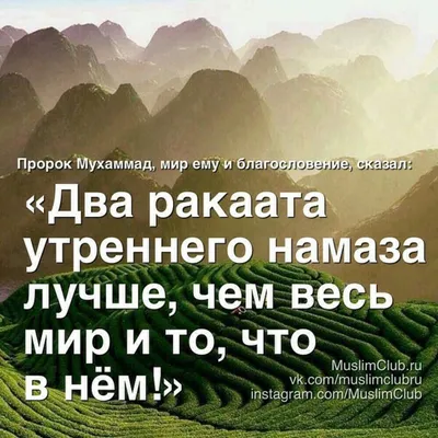 Самое красивое слово в мире-это Аллах, красивая музыка-это азан, лучшая  гимнастика-это намаз, самая мудрая книга-это Коран. В этом мире… | Instagram