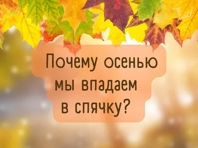 ОСЕНЬ. ЦИТАТЫ, СТАТЬИ И КАРТИНКИ ПРО ОСЕНЬ. ОСЕННИЕ РЕЦЕПТЫ.