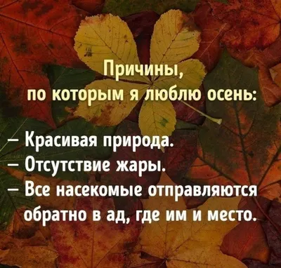 Картинки с надписями. Хорошего осеннего дня Вот и осень прилетела. |  Осенний пейзаж, Пейзажи, Осенние картинки