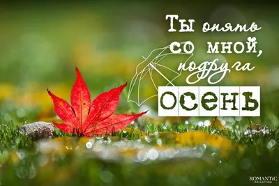 С первым днём осени. Привет, осень. 60 уютных картинок! | Осень, Счастливые  картинки, Осенние картинки