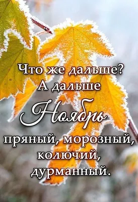 Стихи про осень. Красивые картинки. Как прекрасен мир. Хорошего  настроения!!! - YouTube