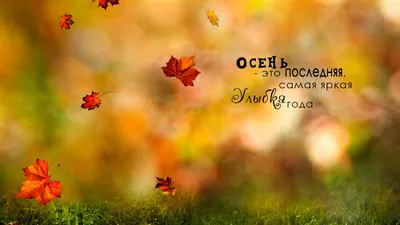 Прощай осень. Закружилась листьев стая.. | Осень, Листья, Осенние картинки
