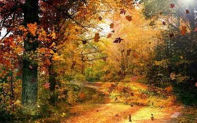 Ничего хорошего в осени нет. Наталя Куделька. Стихи о природе. Стихи про  осень. | Осень, Стихи, Природа