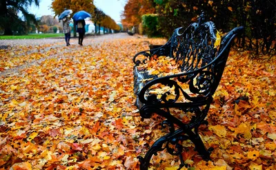 Красивые статусы и цитаты про осень | Любовь и романтика | Дзен