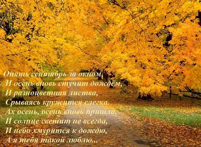 Красивые стихи про осень | Я видела осень - Ирина Самарина-Лабиринт -  YouTube