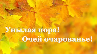 Стихи по теме «ОСЕНЬ» для детей, школьников и взрослых классиков и авторов  для праздника и конкурсов. Палитра осени в ворде | Для сердца, души и  работы | Дзен