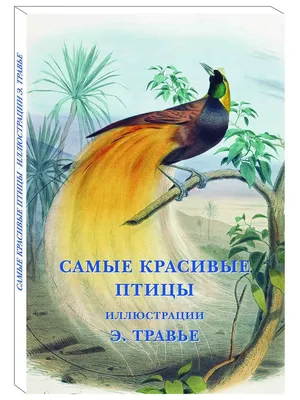 Умка". самые красивые птицы (энциклопедия а4).