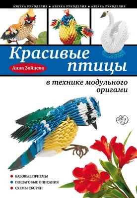 Энциклопедия с развивающими заданиями. Самые красивые птицы Петр Волцит -  купить книгу Энциклопедия с развивающими заданиями. Самые красивые птицы в  Минске — Издательство Умка на 