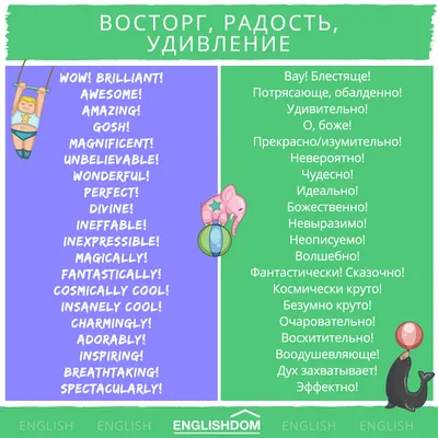 20 красивых слов, которыми можно выразить восторг, радость и удивление на  английском | Пикабу