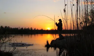 Обложка для видео, рыбалка на оби…» — создано в Шедевруме