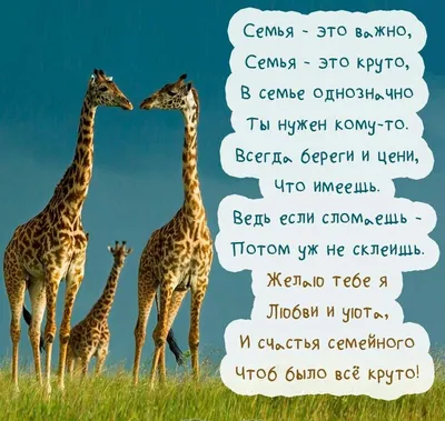 Красивые картинки с днем семьи, любви и верности, бесплатно скачать или  отправить