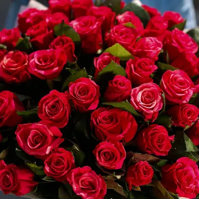 Красивый букет с орхидеями, розами и экзотикой "Румяная заря" по цене 15980  руб - купить в Москве с доставкой