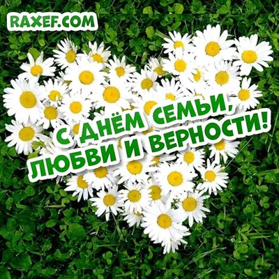 День любви семьи и верности: красивые картинки, открытки и поздравления с  праздником 8 июля - МК Новосибирск