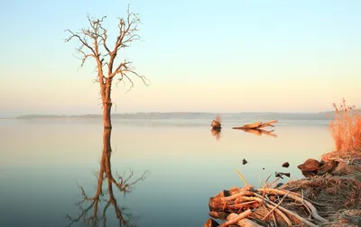 Самая красивая вода, профессиональное …» — создано в Шедевруме