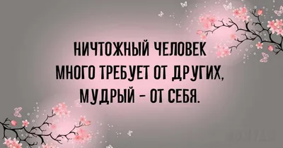 Красивые фразы на английском: 100+ коротких фраз с переводом — блог Инглиш  Шоу