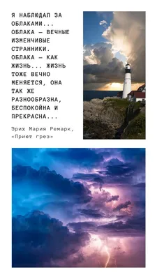 Красивая жизнь прошла мимо - Красивые картинки обоев для рабочего стола