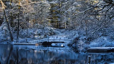 Прикольные картинки про зиму красивые (130 фото) 🔥 Прикольные картинки и  юмор