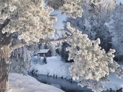 Красивые зимние картинки на рабочий стол - 61 фото