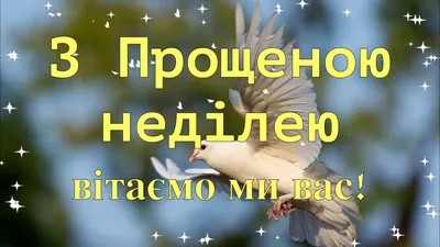 Как просить прощения в Прощеное воскресенье: что говорят, как отвечать в Прощеное  воскресенье