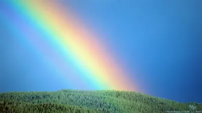 Только посмотрите какая красивая радуга над Чернянском ТУ! - Лента новостей  Херсона