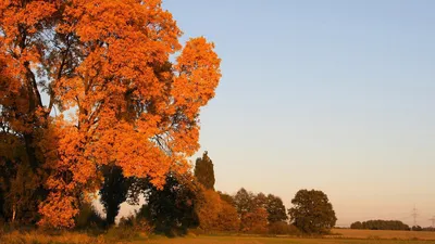 Ранняя осень (57 фото) - 57 фото
