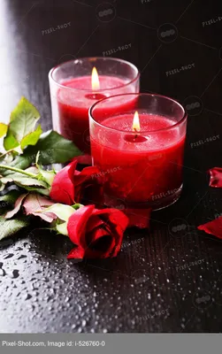 Подарочные цветы цветы красивые романтические фотографии картинки с  картинками Фон И картинка для бесплатной загрузки - Pngtree