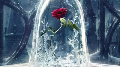 Розы на снегу: красота и нежность на фоне белоснежной зимы» — создано в  Шедевруме