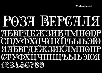 Письмо русского алфавита Вектор Славянский кириллический шрифт Красивые  цветные буквы в растениях и цветах Ботаника и флористия Иллюстрация вектора  - иллюстрации насчитывающей шикарно, конструкция: 157879714