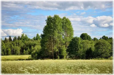 Красивые пейзажи нашей русской природы (часть 4) | Ксения Смагина | Дзен