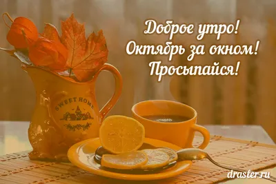 Международном университете туризма и культурного наследия «Шелковый путь» - 1  октября – «День учителя и наставника»