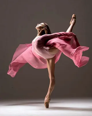 Балерины: истории из жизни, советы, новости, юмор и картинки — Горячее |  Пикабу