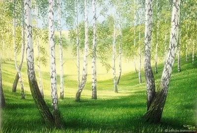 Картина на холсте интерьерная "природа красивые лес березы летние река  пейзажи березки природы" 50x70 пейзаж природа лес в комнату на стену в  спальню - купить по низкой цене в интернет-магазине OZON (579144248)