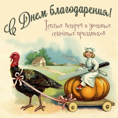 С Днем благодарения! - Красивые открытки на русском языке английском  (Thanksgiving Day), украинском - Поз… | День благодарения, Открытки, День  благодарения открытки