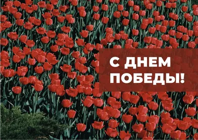 9 мая — День Победы! | Союз журналистов Москвы